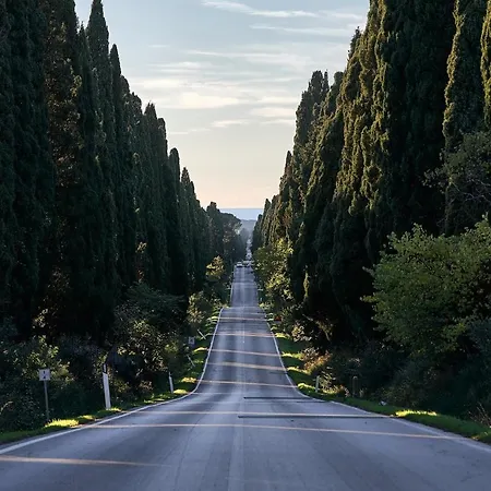 Bed and breakfast Wine 4*